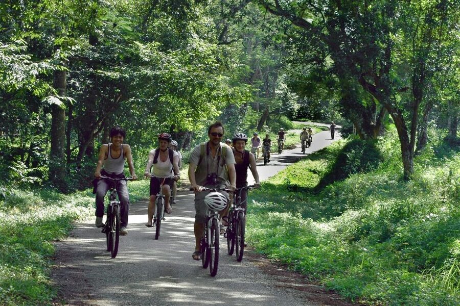 Private Day Tour: Cuc Phuong National Park from Hanoi - Price and value: is $130 per person fair for this day?