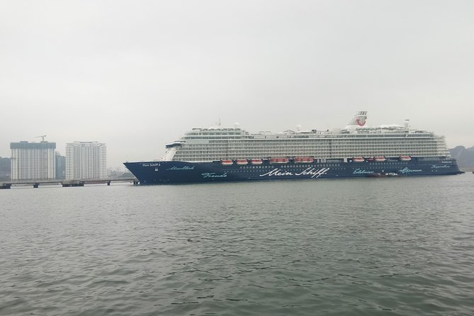 Private Ha Long bay day trip(From Hanoi city or Halong harbour) - Optional detours like pearl stops, what to expect