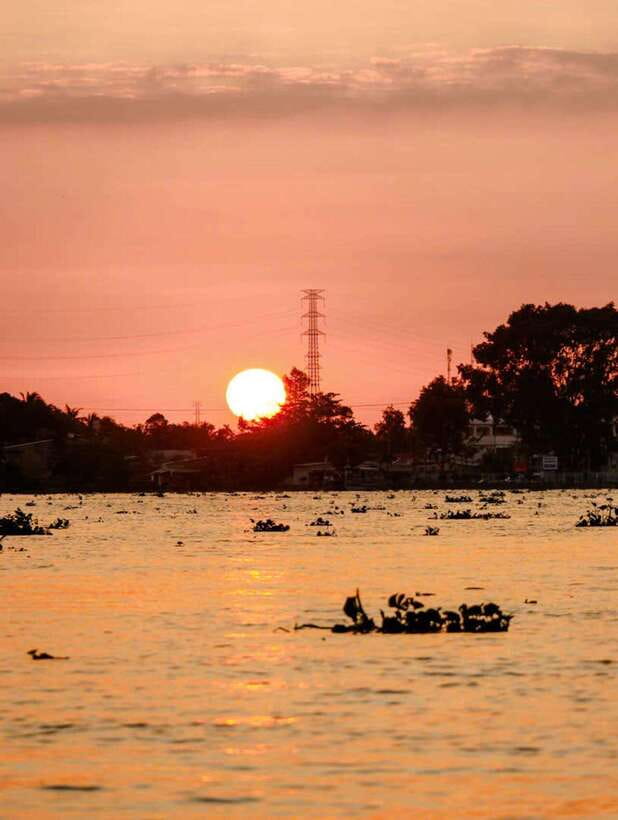 Private Half Day Tour - Cái Răng Floating Market - The first sampan ride on the Hau River