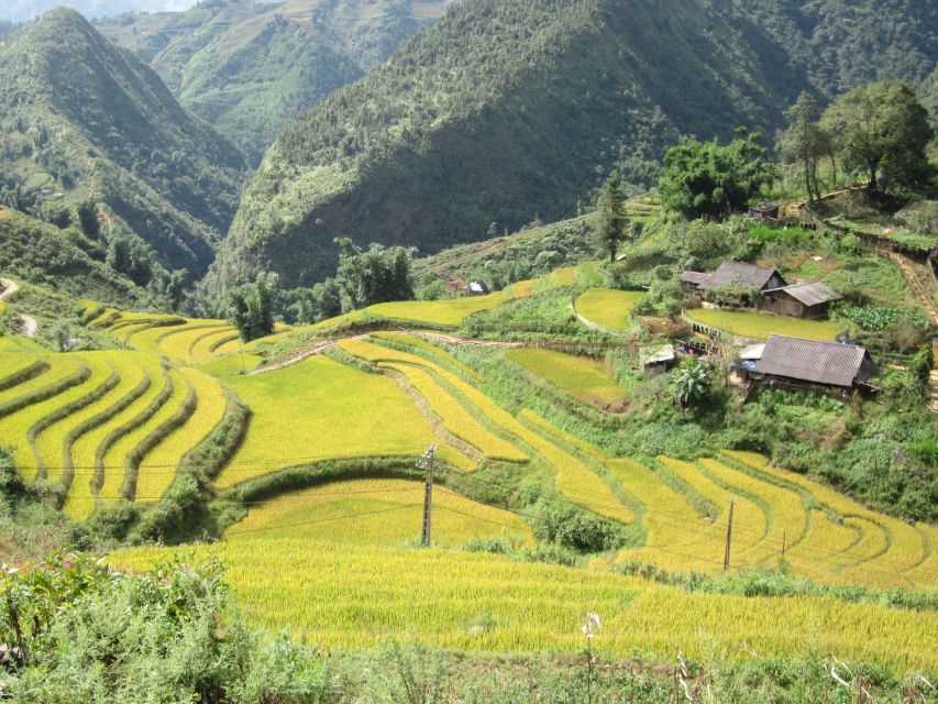 Private Hoang Lien National Park & Tribal Village Trek - English guide, private transfer, and the small details that make it smooth