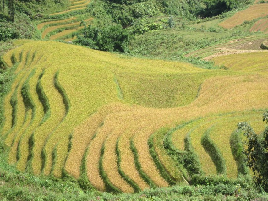 Private Hoang Lien National Park & Tribal Village Trek - Who this Hoang Lien and tribal village trek is best for