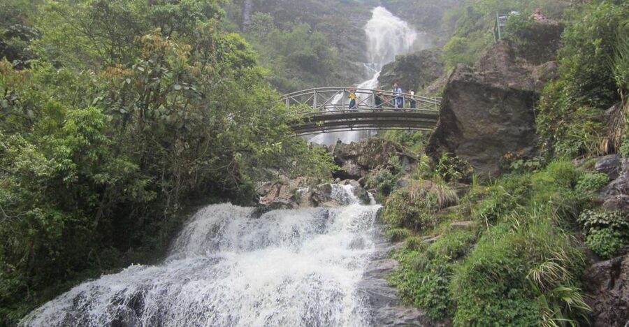 Private Hoang Lien National Park & Tribal Village Trek - The 10km dirt trail through bamboo forest, rice paddies in view