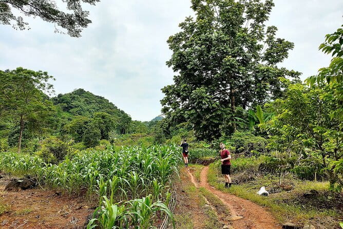 Private Transfers Ha Giang <=> Sapa One Way (Free Hotel Pickup) - Safety reputation: what you can realistically count on
