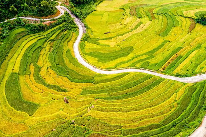 Pu Luong Day Tour: Trekking Villages, Bamboo Rafting & Waterfall - The local market visit, for real-life context