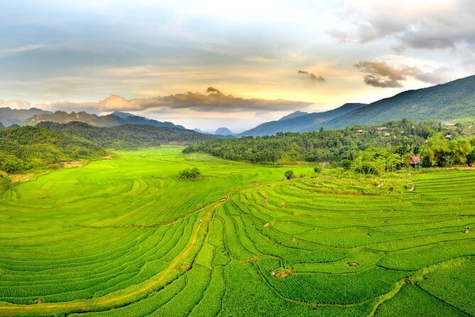 Pu Luong Insight Half Day of Nature and Culture Discovery Top 1 - What to expect on the ground: walking pace and comfort basics