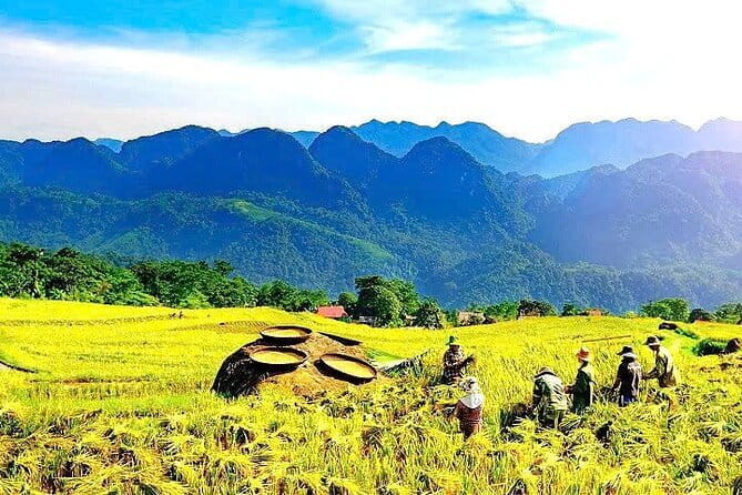 Pu Luong Insight Half Day of Nature and Culture Discovery Top 1 - Entering Pu Luong Nature Reserve: the trail start and why the timing matters