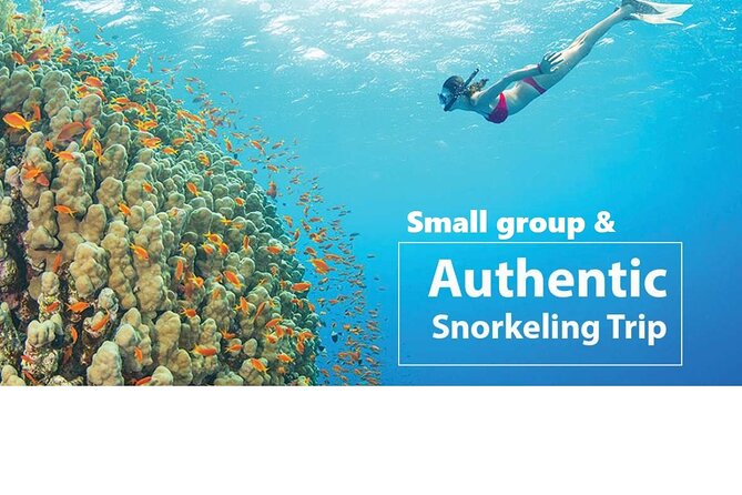 REAL snorkel &island hopping by SPEEDBOAT-EXPLORE CUISINES(MAX12) - Getting from your hotel to An Thoi port without chaos