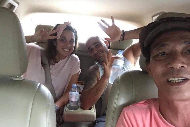 Round Trip: Da Nang/Hoi An – Hue with English-Speaking Driver - The driver experience: clean car, safe driving, and good communication