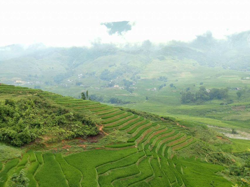 Sa Pa: 2-Day Trekking Trip with Ethnic Minority Homestay - Pace, footwear, and why muddy weather is the real boss