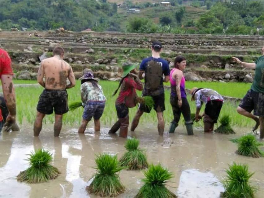 Sa Pa: 2-Day Trekking Trip with Ethnic Minority Homestay - Cultural value: how to interact with the villages respectfully
