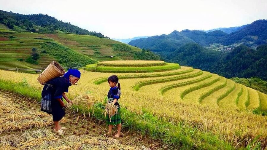 Sa Pa: 6-Hours Muong Hoa Valley Trek with Local Ethnic guide - Why this 6-hour Muong Hoa Valley trek feels like real Sapa