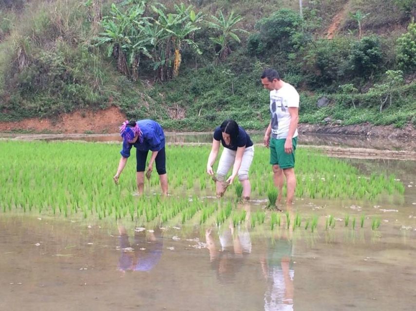 Sa Pa: 6-Hours Muong Hoa Valley Trek with Local Ethnic guide - Lao Chai rice terraces plus craft stops you can understand on the spot