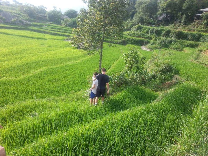 Sa Pa: 6-Hours Muong Hoa Valley Trek with Local Ethnic guide - Ta Van village: weaving and rice cultivation you can actually see