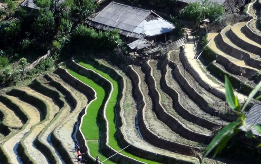Sa Pa: 6-Hours Muong Hoa Valley Trek with Local Ethnic guide - The walking reality: muddy slopes, bamboo, and why shoes matter