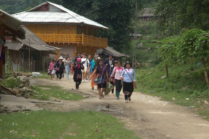 Sa Pa Full Day Trekking Tour - Stop 1, Y Linh Ho: Morning Rice Terraces and Classic Views