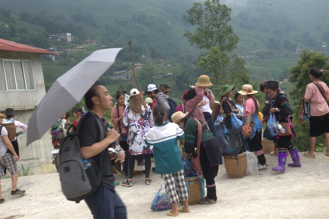 Sa Pa Full Day Trekking Tour - How Much Walking Should You Expect, Really?