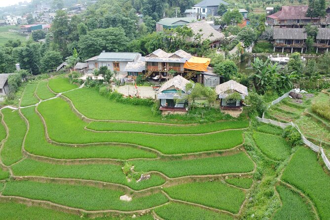 Sa Pa Full Day Trekking Tour - Getting Started: Pickup in Sapa and the Morning Push