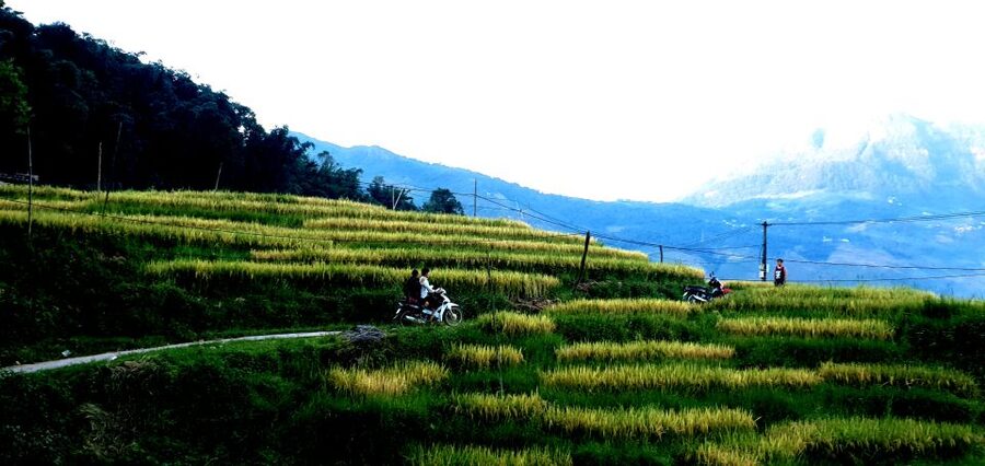 Sa Pa: Guided Motorbike Tour to Ethnic Villages with Lunch - Value for $65: What You Get, What You Pay Extra For