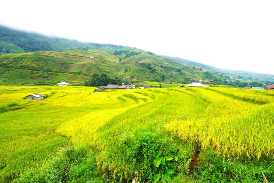 Sa Pa: Half-Day Cat Cat Village Hike to Meet H'mong People - Should you book this Cat Cat Village hike to meet H’mong people?
