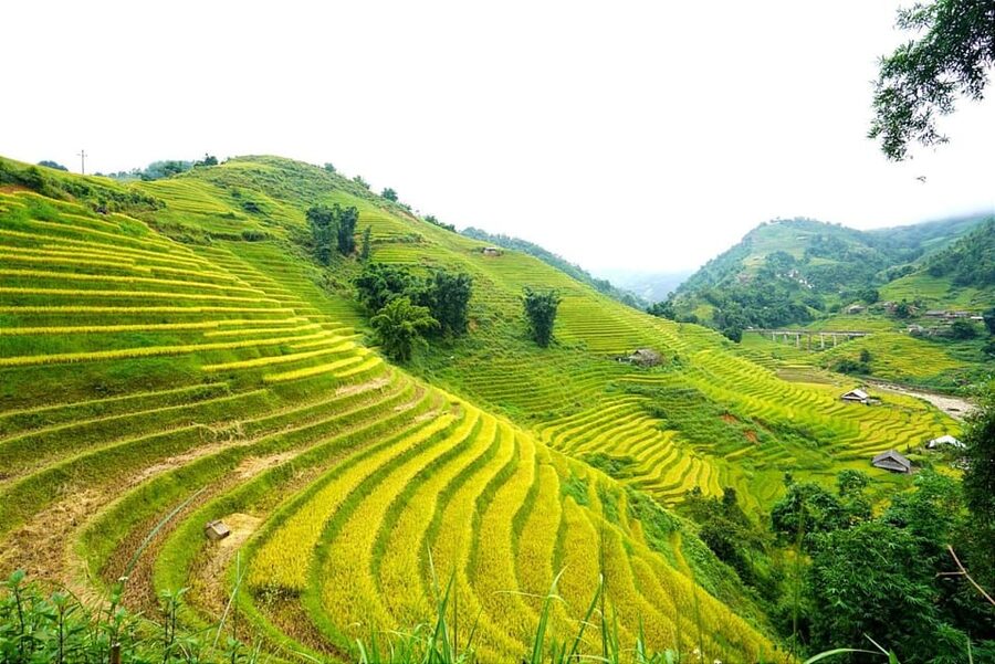 Sa Pa: Half-Day Cat Cat Village Hike to Meet H'mong People - What to bring for comfort, and how to avoid simple mistakes