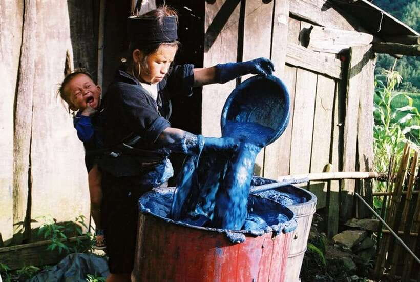 Sa Pa: Muong Hoa Valley Trek and Local Ethnic Villages - Guide Quality, Safety, and Small-Group Advantage