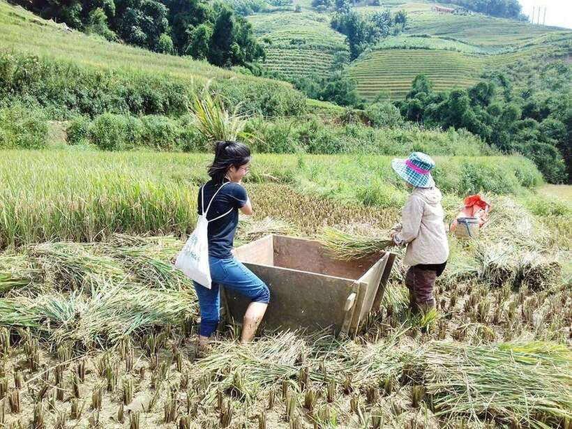 Sa Pa: Muong Hoa Valley Trek and Local Ethnic Villages - From Sapa Pickup to Muong Hoa Valley Trails