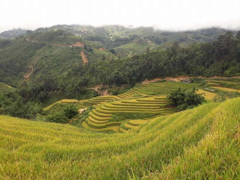 Sa Pa: Muong Hoa Valley Trek and Local Ethnic Villages - Lao Chai Village Stop: Seeing Life of the Black Hmong