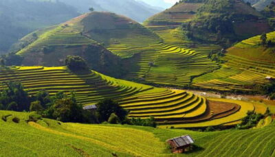 Muong Hoa Valley Trek and Local Ethnic Villages