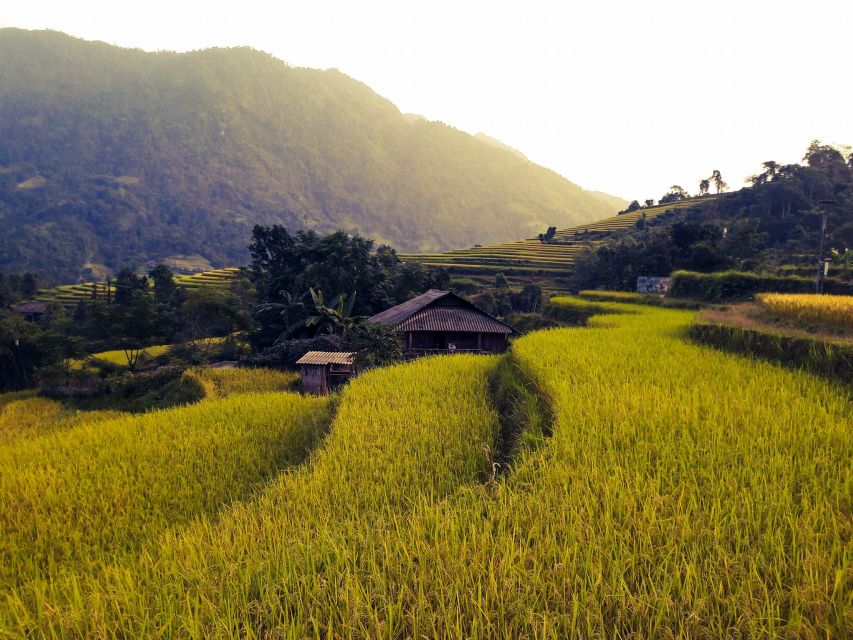 Sa Pa: Muong Hoa Valley Trek and Local Ethnic Villages - Ta Van Giay and the Suspension Bridge Near the River