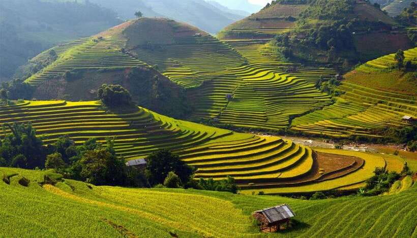Sa Pa: Muong Hoa Valley Trek and Local Ethnic Villages - The 10-Kilometer Walk: Rice Terraces, Mud, and River-Crossing Reality