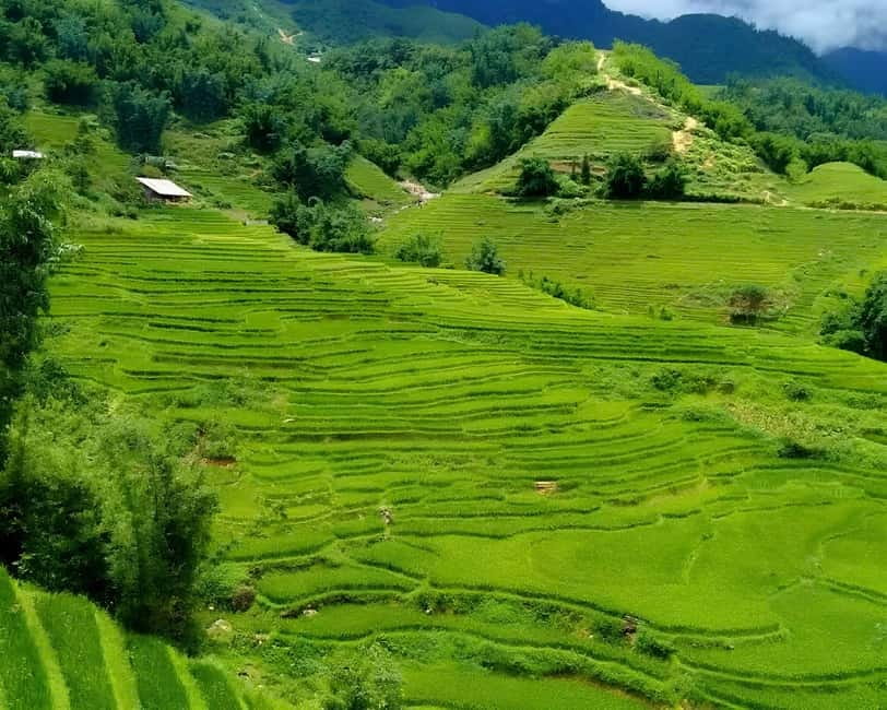Sapa 1 Day Long Trek: Trek to Hau Thao and Sa Seng Villages - Guide energy and English explanations: the real secret ingredient