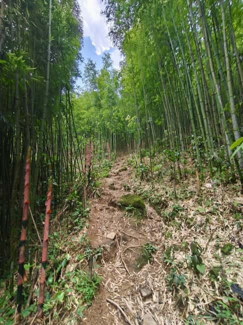 Sapa: 2-Day Local Guided Valley Trek with Night Homestay - How this 2-day Sa Pa valley trek feels different