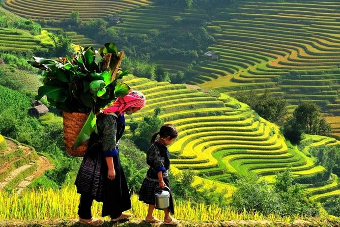 Sapa 2 Days 1 Night From Hanoi - Overnight in Hotel - What’s Included, and What That Means For Your Budget