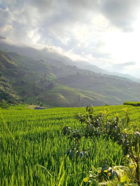 SAPA: 2 DAYS Walking & 1 night at Homestay with LOCAL GUIDE - Homestay night: family meals, stories, and the comfort factor