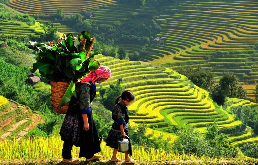 Sapa: 3-Day, 3-Night Trek and Hotel with Overnight Train - Overnight Train from Hanoi, Then You Are Already in Sapa Mode