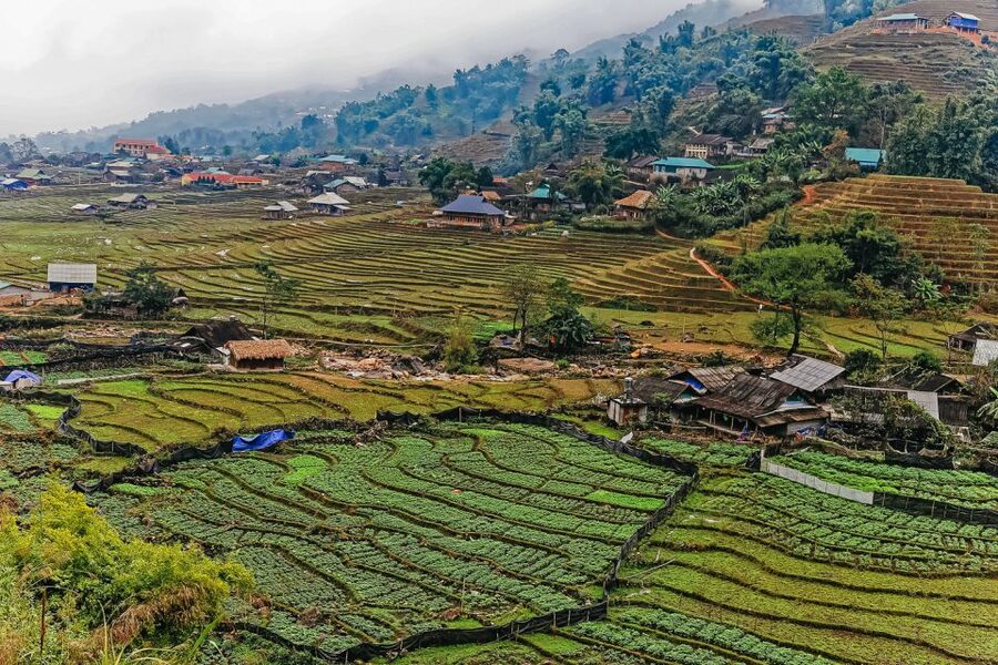 Sapa: 3-Day, 3-Night Trek and Hotel with Overnight Train - Day 2: Muong Hoa Valley Trek, Rice Terraces, and Ta Van Homestay Night
