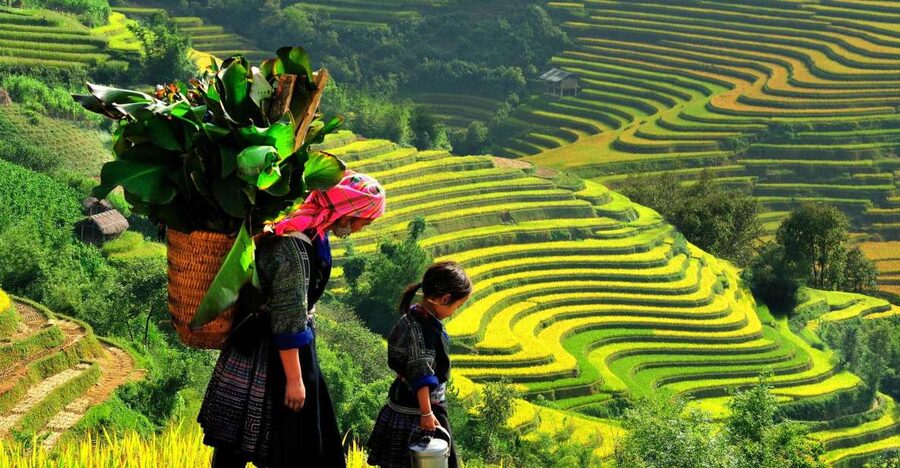 Sapa: 3-Day, 3-Night Trek and Hotel with Overnight Train - Day 1: Getting Oriented in Sapa, Then Walking to Sin Chai