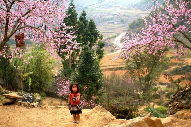 Sapa 3 Days 2 Nights Trekking Tour (1 Night In Ta Van Village, 1 Night In Hotel) - Day 2 rice terraces and the big trek to Ta Van homestay