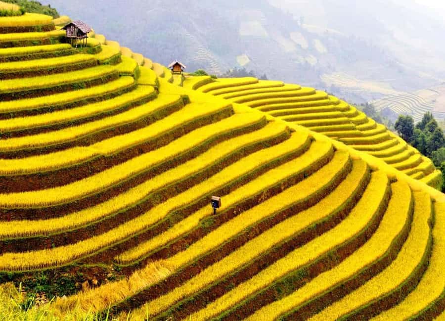 Sapa: Cat Cat Village, Moana, Alpine Coaster, Fansipan Cable - Price and Value: Is $33 Reasonable for This Setup?