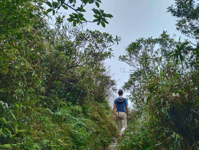 SAPA : Climb up to Fansipan mountain with LOCAL GUIDE - Quick takeaways before you tackle Fansipan