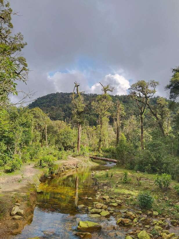 SAPA : Climb up to Fansipan mountain with LOCAL GUIDE - Food stops that keep you moving, not just eating