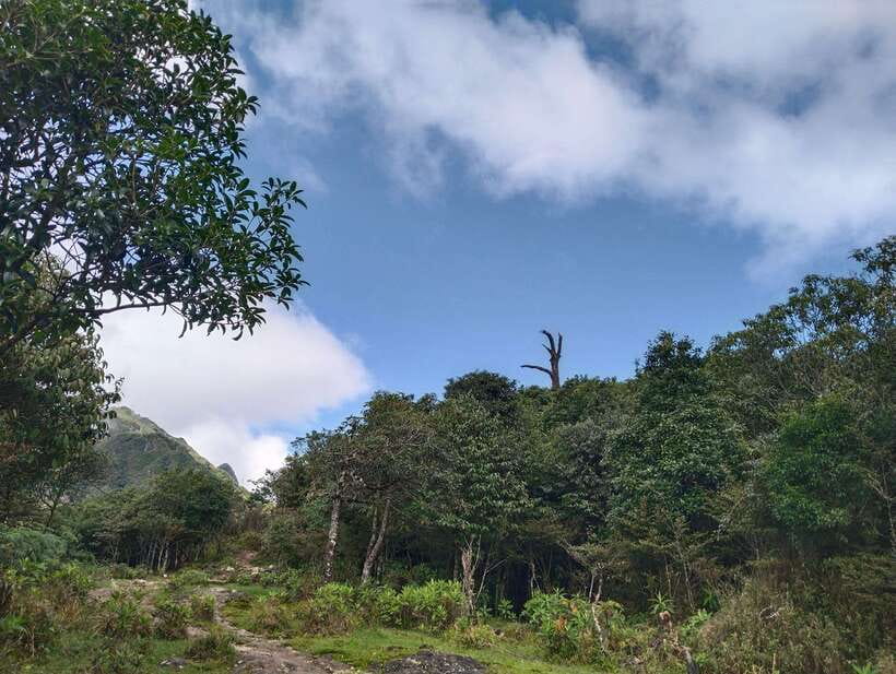 SAPA : Climb up to Fansipan mountain with LOCAL GUIDE - Descent timing, safety, and getting back to Sa Pa between 4 and 6 PM