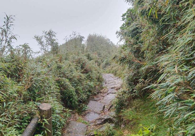 SAPA : Climb up to Fansipan mountain with LOCAL GUIDE - Guide style you can look for, from Za to Khu