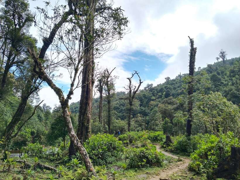 SAPA : Climb up to Fansipan mountain with LOCAL GUIDE - Price and value, what $72 actually covers