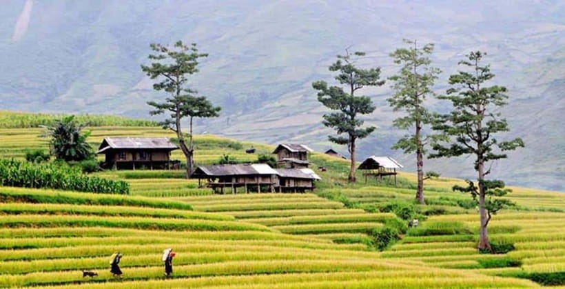 Sapa: Eco Adventure Terrace Fields and Local Villages Trek - Meet at Sapa Church and set your sights on Fansipan