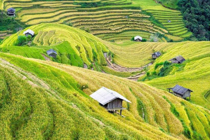 Sapa: Eco Adventure Terrace Fields and Local Villages Trek - Lao Chai Village and Hmong clothing-making