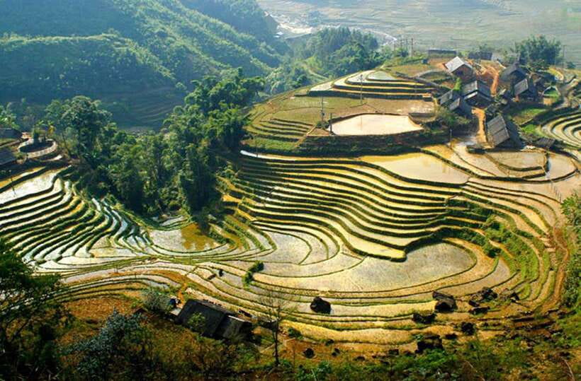 Sapa: Eco Adventure Terrace Fields and Local Villages Trek - Ta Van Village: meeting the Dzay minority before heading back