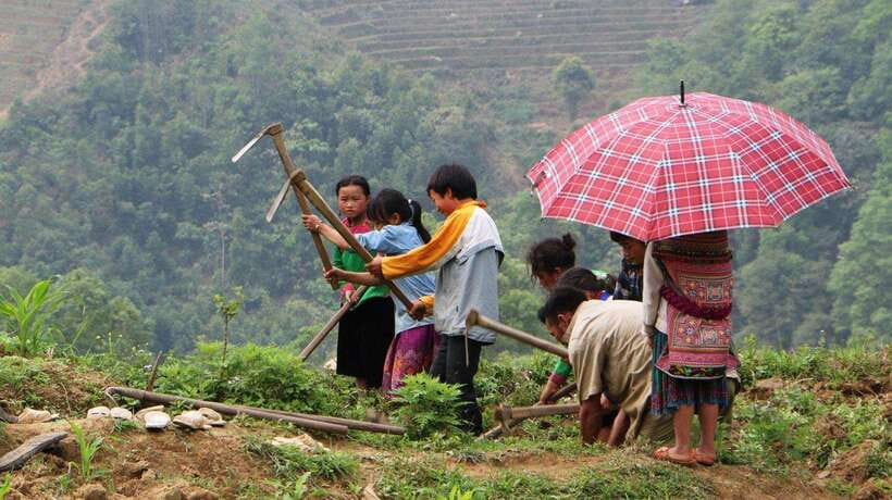 SAPA FREE 1 DAY TREEKKING WITH CHAN - Key highlights you will actually care about