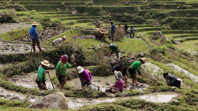 SAPA FREE 1 DAY TREEKKING WITH CHAN - A FREE-leaning trek that still feels legit (not cheap)