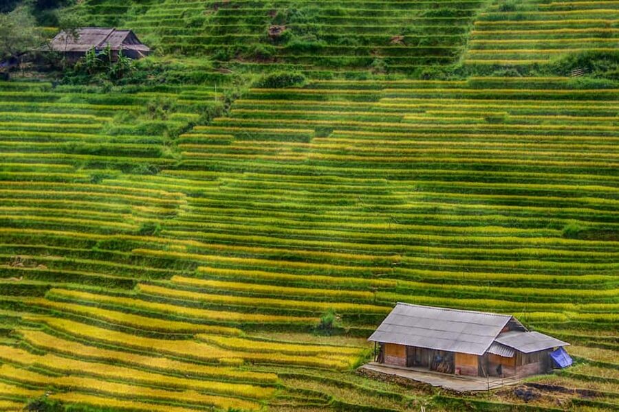 SAPA FREE 1 DAY TREEKKING WITH CHAN - Meeting Chan Giang at Sapa Stone Church (9 AM start)